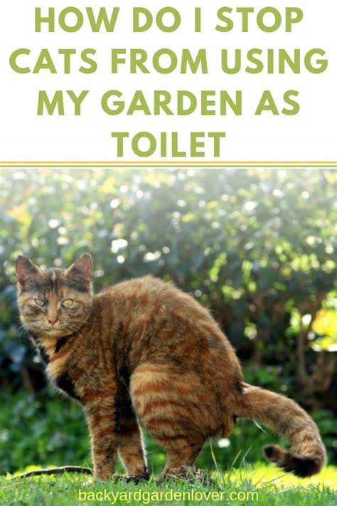 Stop Cats Garden Toilet