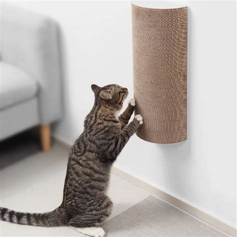 Stop Cats Scratching Wall