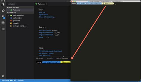 stop terminal in vs code
