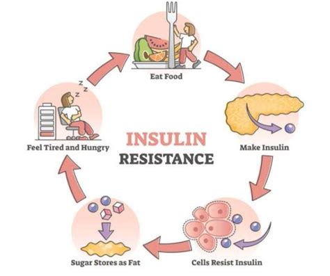 Stopped Insulin Side Effects