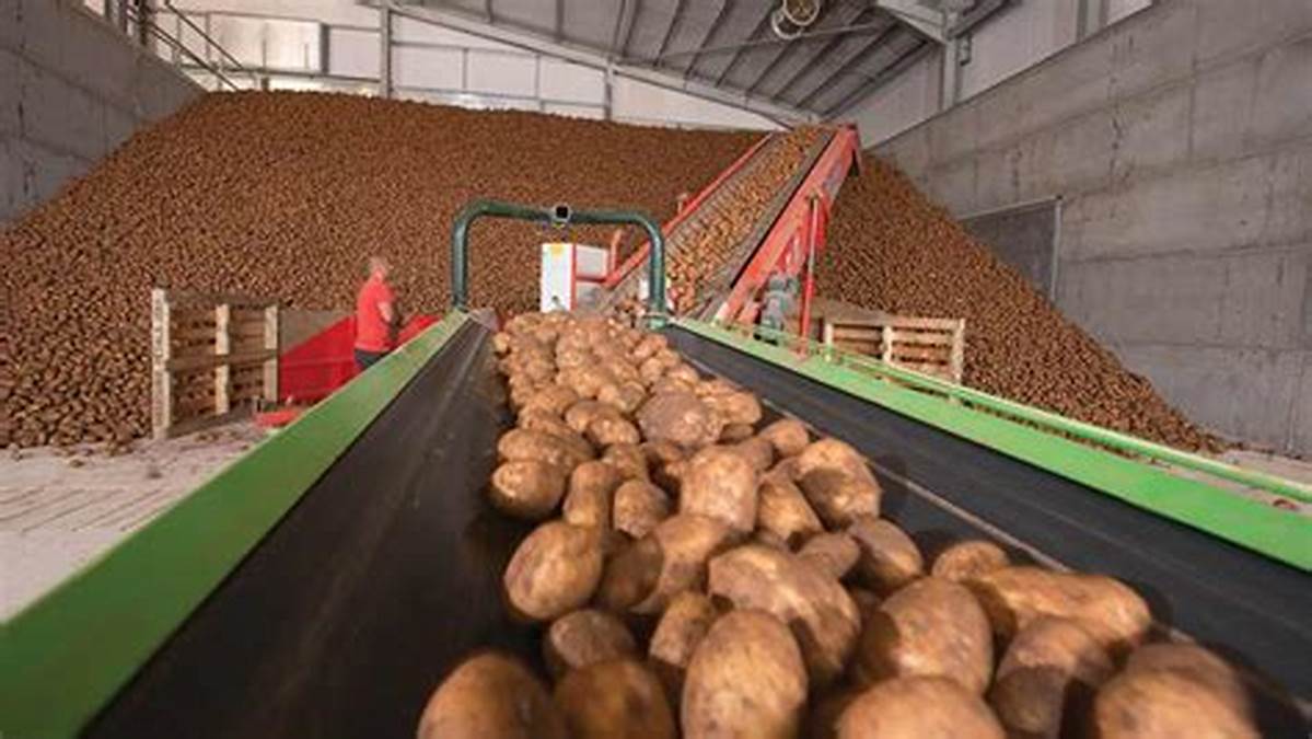 Storage costs of potatoes