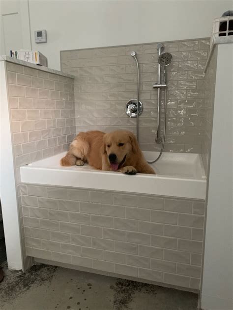 Storage Dog Wash