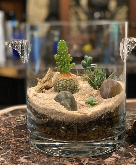 Mason Jar with Cactus and Succulent Succulents, Cacti and succulents
