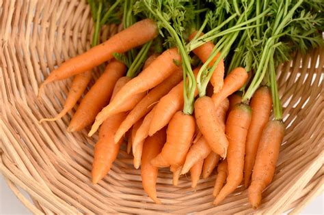 9 quick steps for storing fresh carrots from the garden How to store
