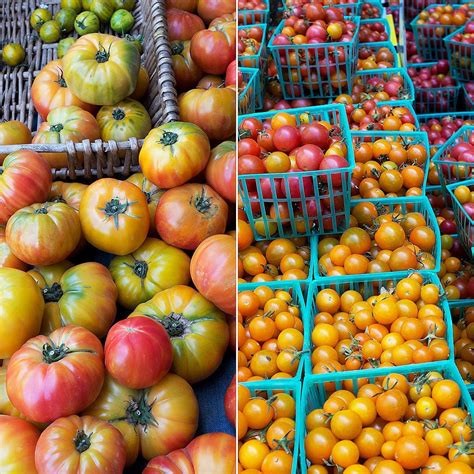 High tunnelgrown tomatoes go to Amarillo supermarket AgriLife Today