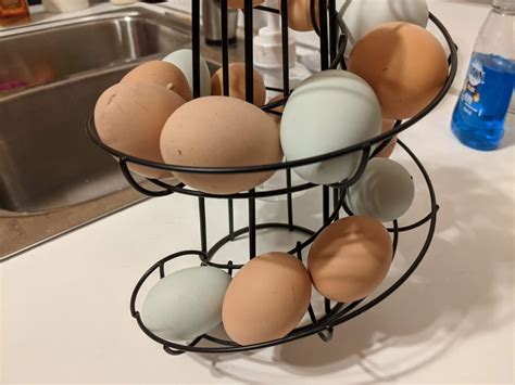 Store Eggs On Counter