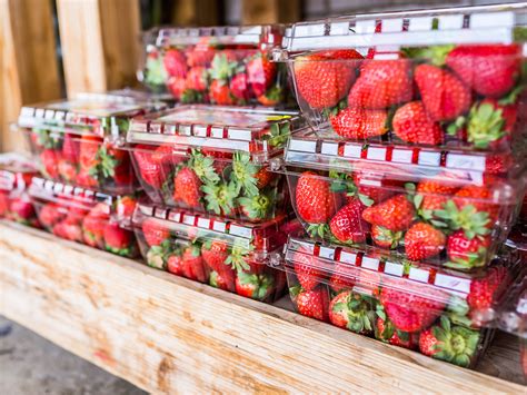 How to Store Fresh Strawberries to Last Longer Zestful Kitchen