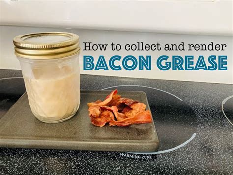 storing bacon dust