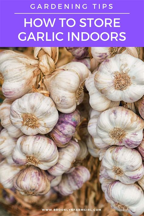 Less Noise, More Green Storing garlic