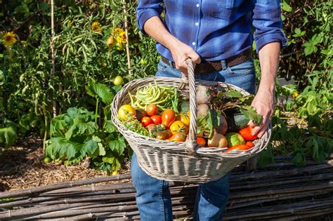 Storing Garden Vegetables
