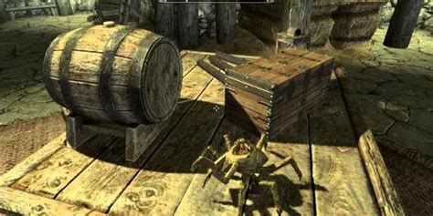 Storing Items In Skyrim