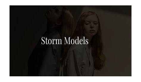 Storm Model Management Apply Water Free FullText Water And Flood