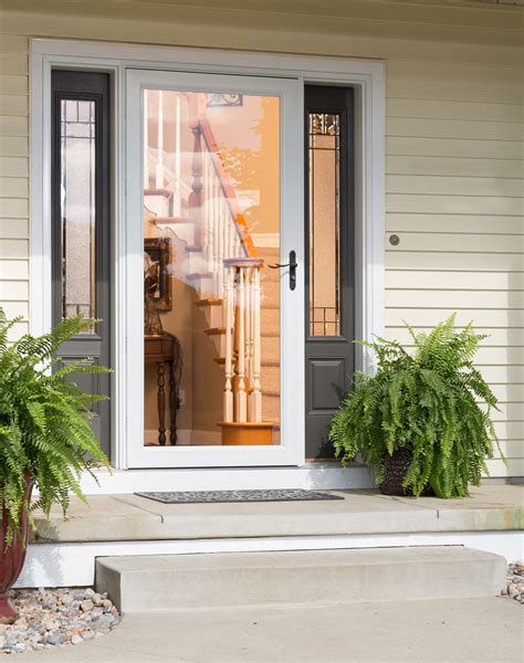 Storm Door With Design