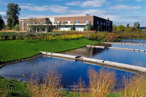 stormwater management facility