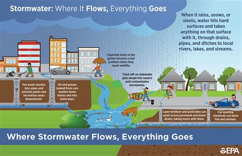 stormwater runoff pollution effects