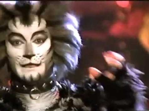 story behind the musical cats
