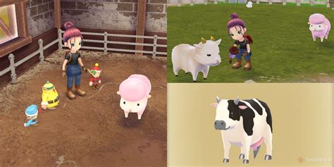 story of seasons a wonderful life animals