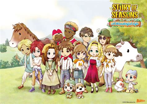 story of seasons a wonderful life likes