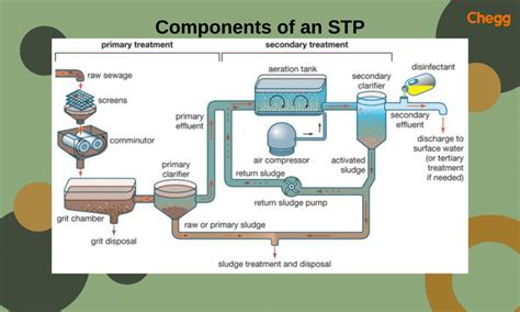 stp full form in rural marketing