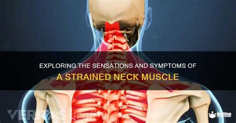 Relieve a Strained Neck Muscle: Effective Solutions and Prevention Tips