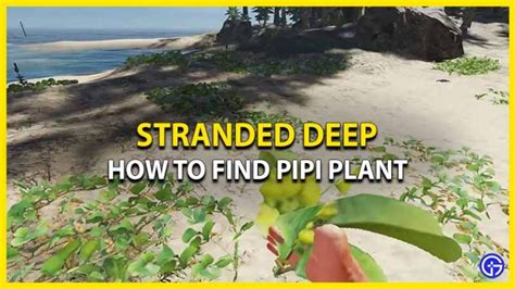 stranded deep pipi