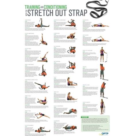 Strap Training Exercises