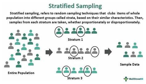 Stratified Sampling Example, Vector Illustration Diagram