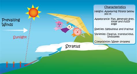 Stratus Clouds Diagram