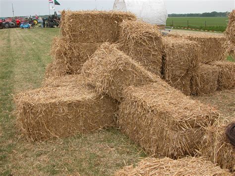Straw Bales Ky