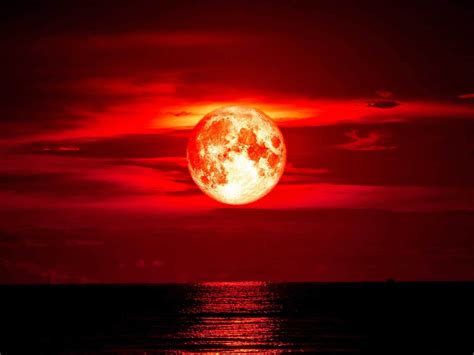 strawberry moon 2023 chicago