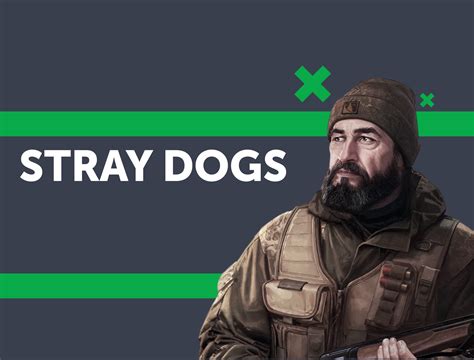 Stray Dogs Eft