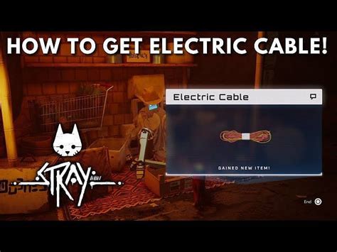 Stray How To Get Electrical Cable