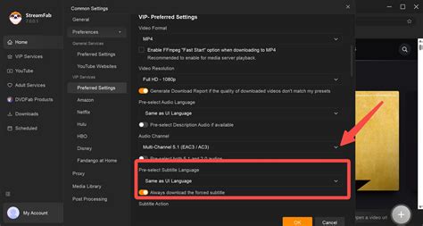 streamfab netflix not working