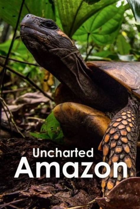 Streaming Uncharted