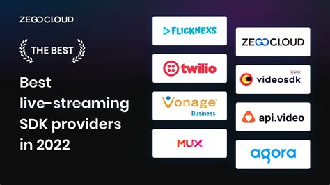 streaming video providers in china