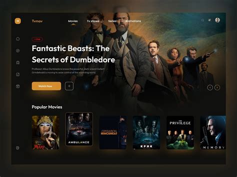 Streaming website interface