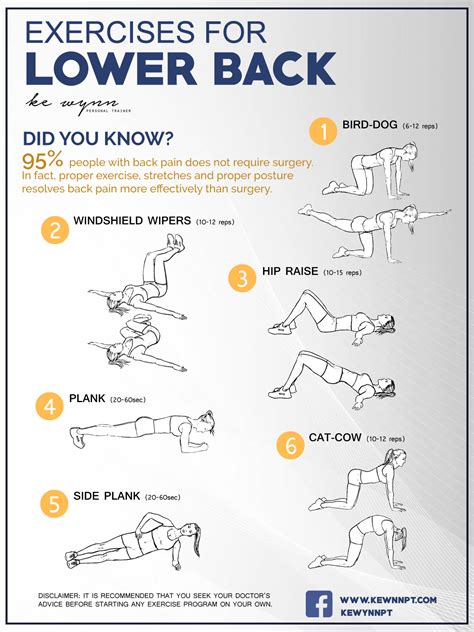Strength Exercise For Lower Back