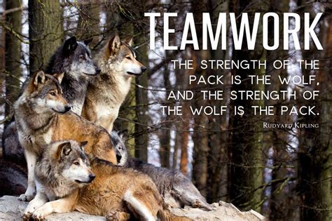 strength of the pack is the wolf
