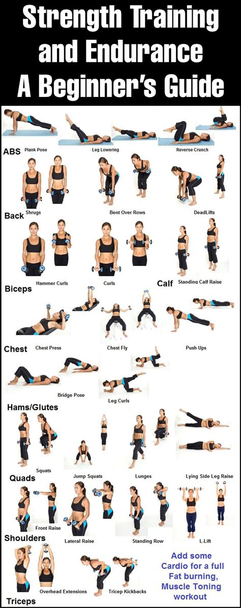 Strength Training Beginner Routine