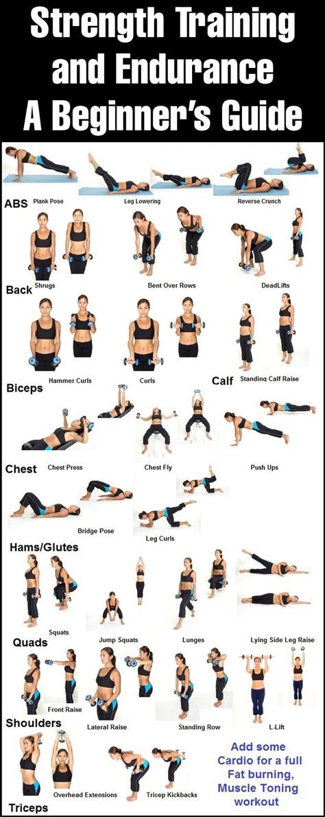 Strength Training Exercise Routine
