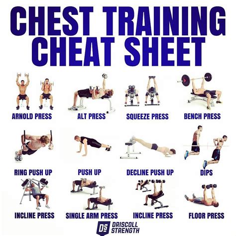 Strength Training Exercises Chest