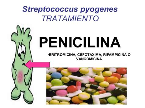 streptococcus agalactiae tratamiento fisterra