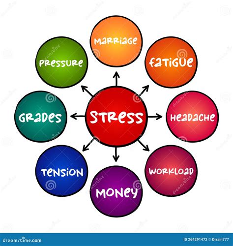 ストレス概念図