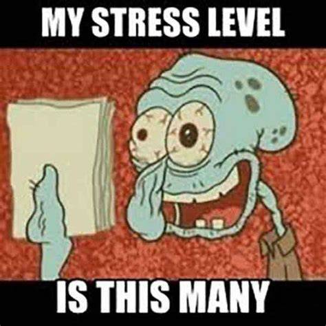 Pin by JAN!CE🧸🍒 on H.S. Louis meme, Memes reactions, Stress level