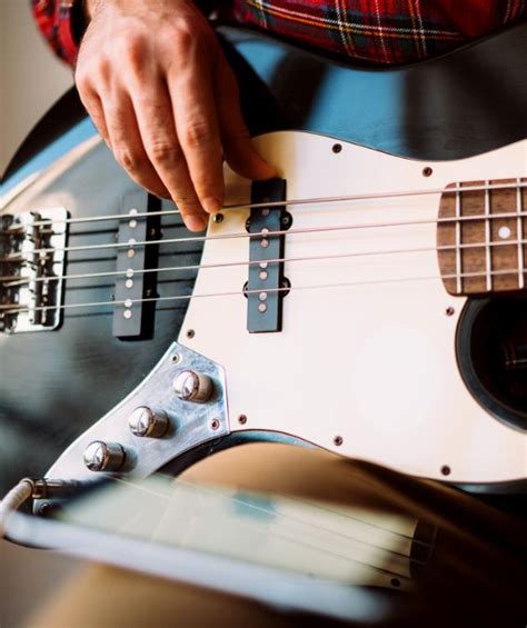 String Bass Lessons Tampa