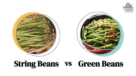 String Beans And Green Beans The Same