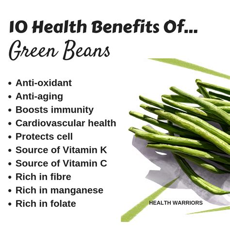 String Beans Nutritional Benefits