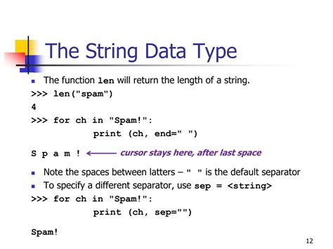 String Data Type Name