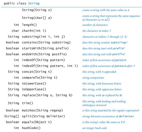 String Data Type User Input
