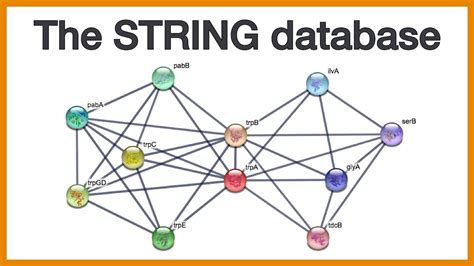 String Database Manual